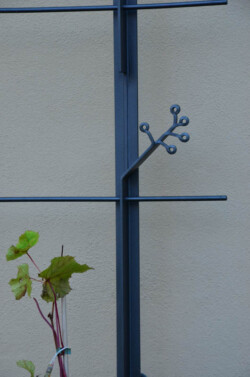 Detail Rankgerüst für wilden Wein