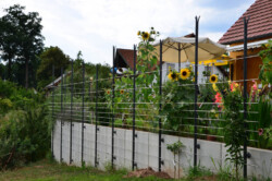 Absturzsicherung und Spaliergerüst