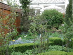 Halter mit Ringen für einzelne Rosen