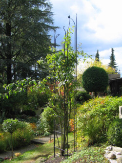 Freistehendes Rankgerüst für eine Rose