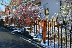 Geschmiedete Gräser