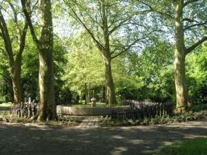 Platanenanlage Westfriedhof Nürnberg